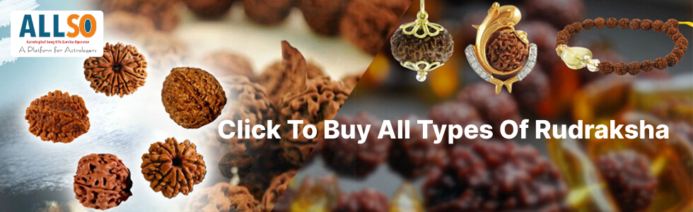 Rudraksha